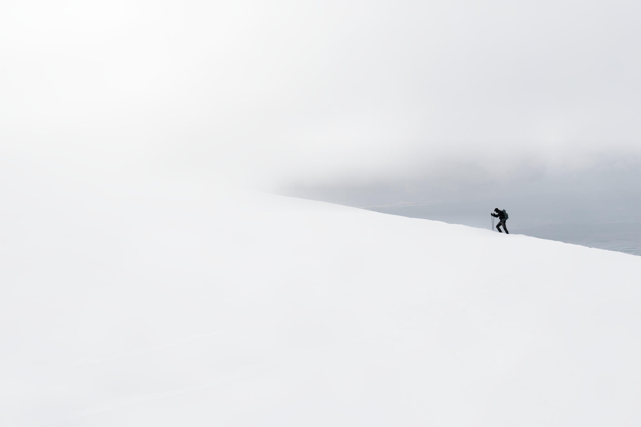 The Lonely Hiker The Lonely Hiker