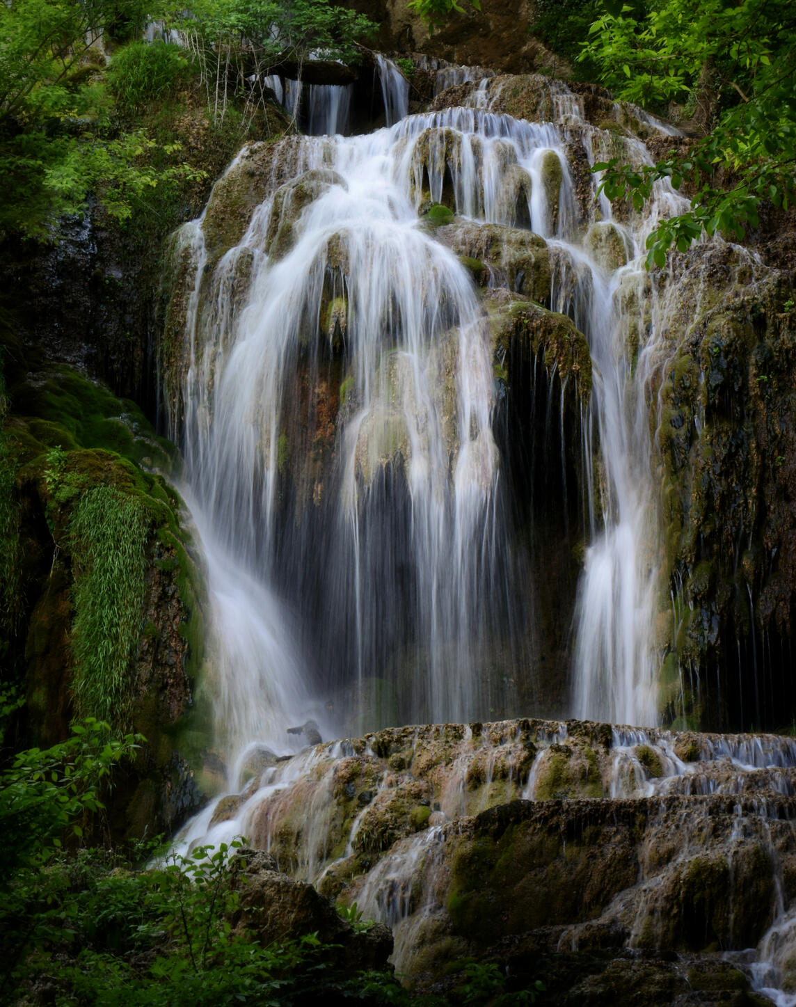 Untitled Untitled