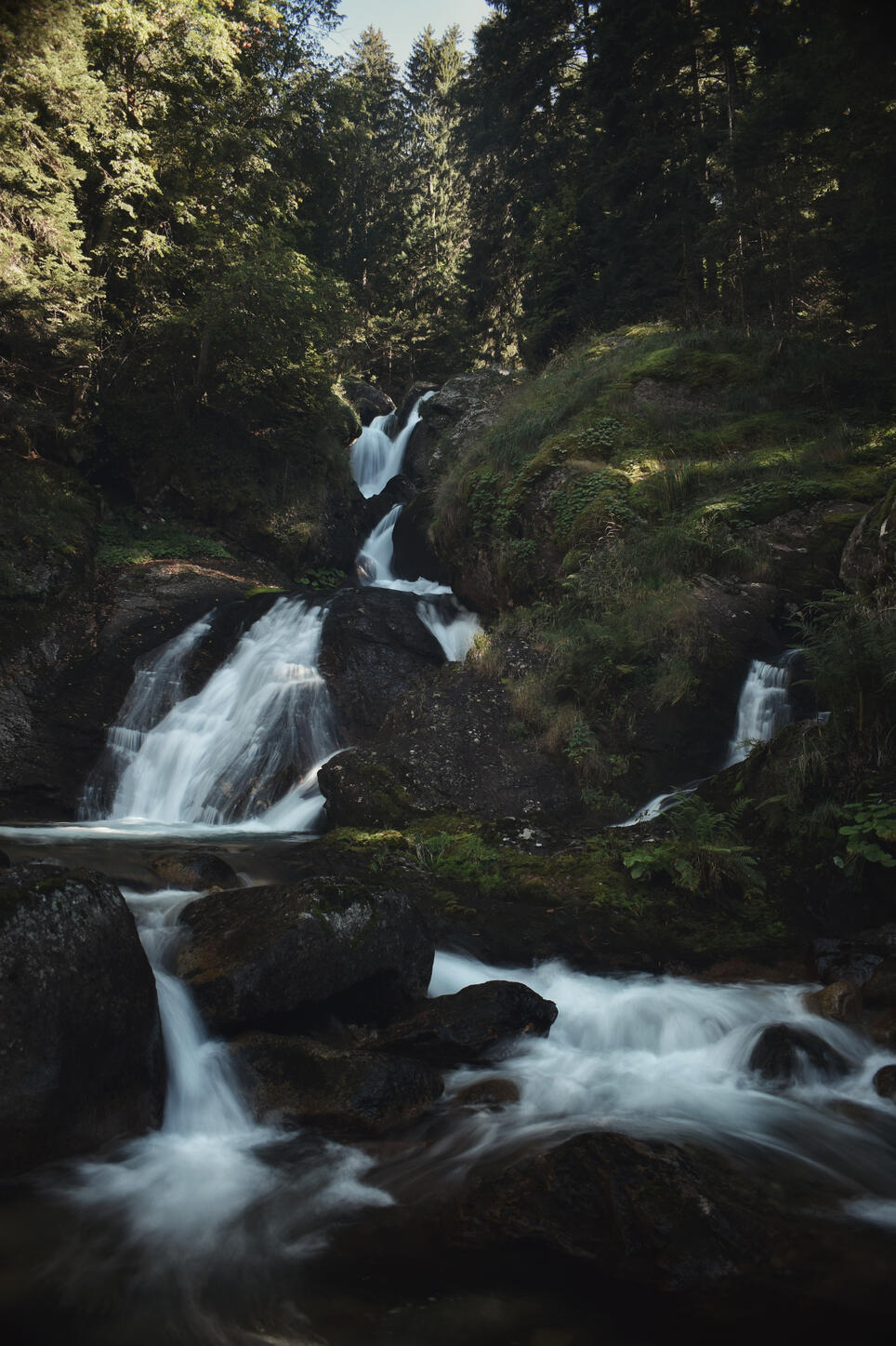 Untitled Untitled